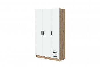 Шкаф 1200 мм Эконом без зеркала (Зарон) в Красноуральске - krasnouralsk.mebel-e96.ru