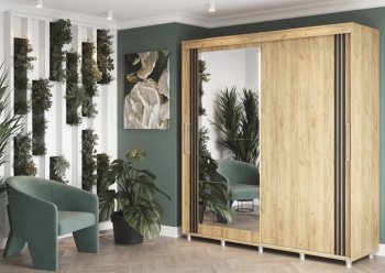 Шкаф-купе 2000 мм Форест крафт золотой(Стиль) в Красноуральске - krasnouralsk.mebel-e96.ru