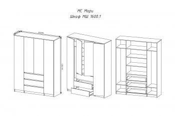 Шкаф распашной Мори 1600 мм графит (ДСВ) в Красноуральске - krasnouralsk.mebel-e96.ru