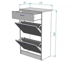 Обувница W21 (ЯАС) в Красноуральске - krasnouralsk.mebel-e96.ru