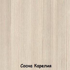 Шкаф 500 мм ДМ-03 Серия 2 (СВ) в Красноуральске - krasnouralsk.mebel-e96.ru