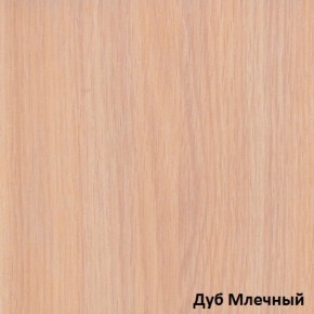 Шкаф-купе Рио 1-600 Амели (полки справа) в Красноуральске - krasnouralsk.mebel-e96.ru