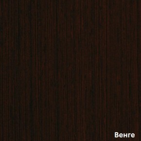 Шкаф-купе Рио 1-600 Амели (полки справа) в Красноуральске - krasnouralsk.mebel-e96.ru