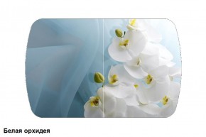 Стол Бостон 2 (1100*700) опоры Брифинг (Стекло/фотопечать Белая орхидея) в Красноуральске - krasnouralsk.mebel-e96.ru | фото