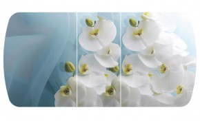 Стол Бостон-3 (Белая Орхидея) 1100/1420*700, опора Брифинг в Красноуральске - krasnouralsk.mebel-e96.ru