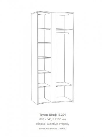 Шкаф Трувор 13.204 в Красноуральске - krasnouralsk.mebel-e96.ru